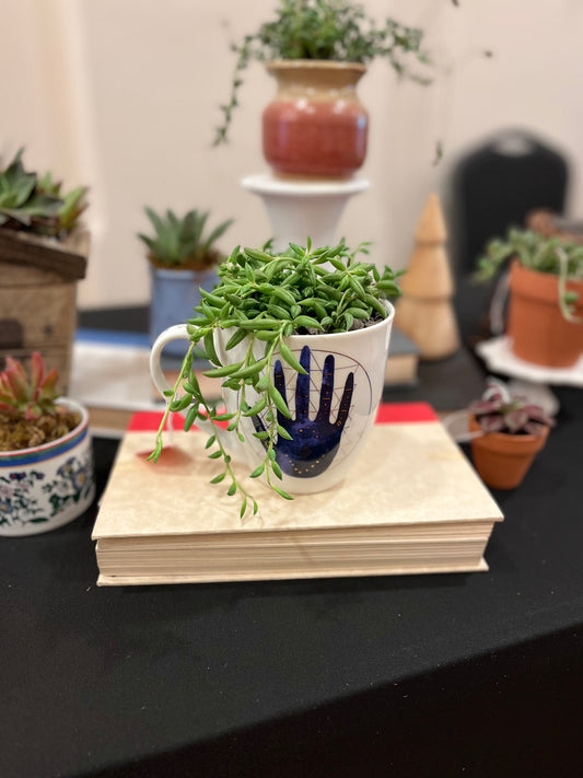 4 inch String of Bananas