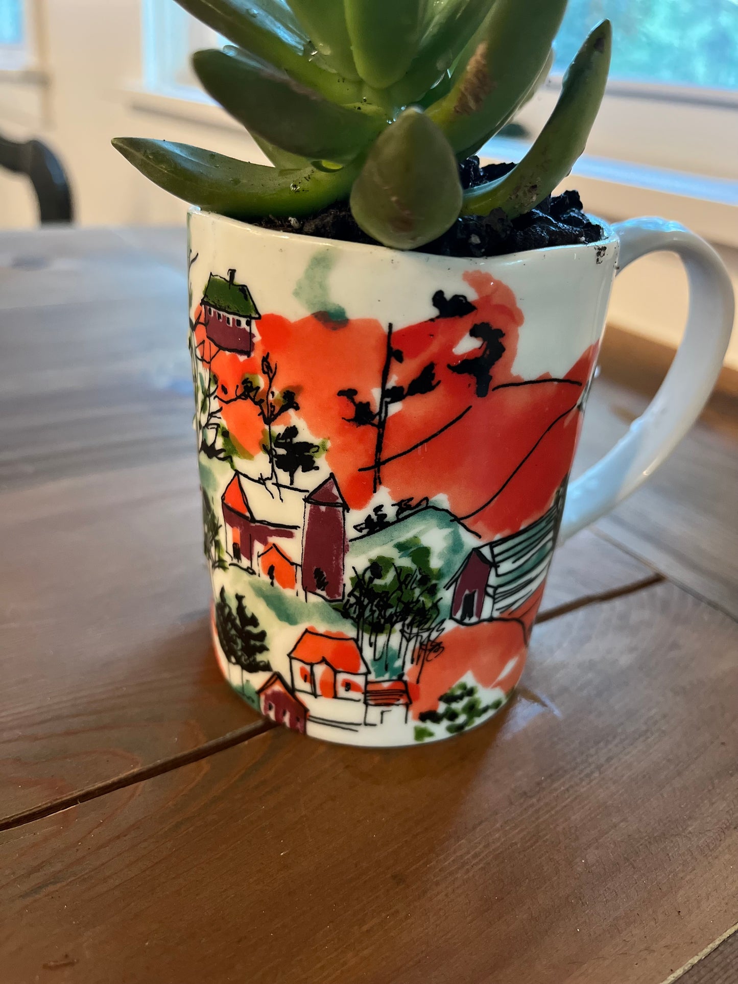 Sedum in orange mug