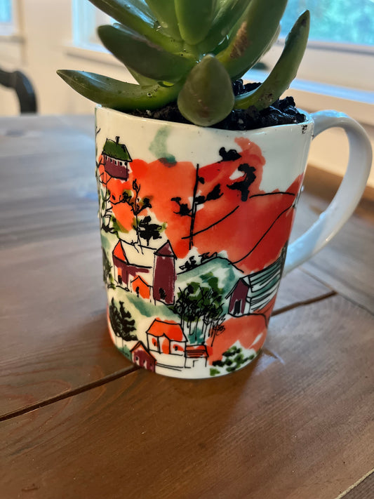 Sedum in orange mug
