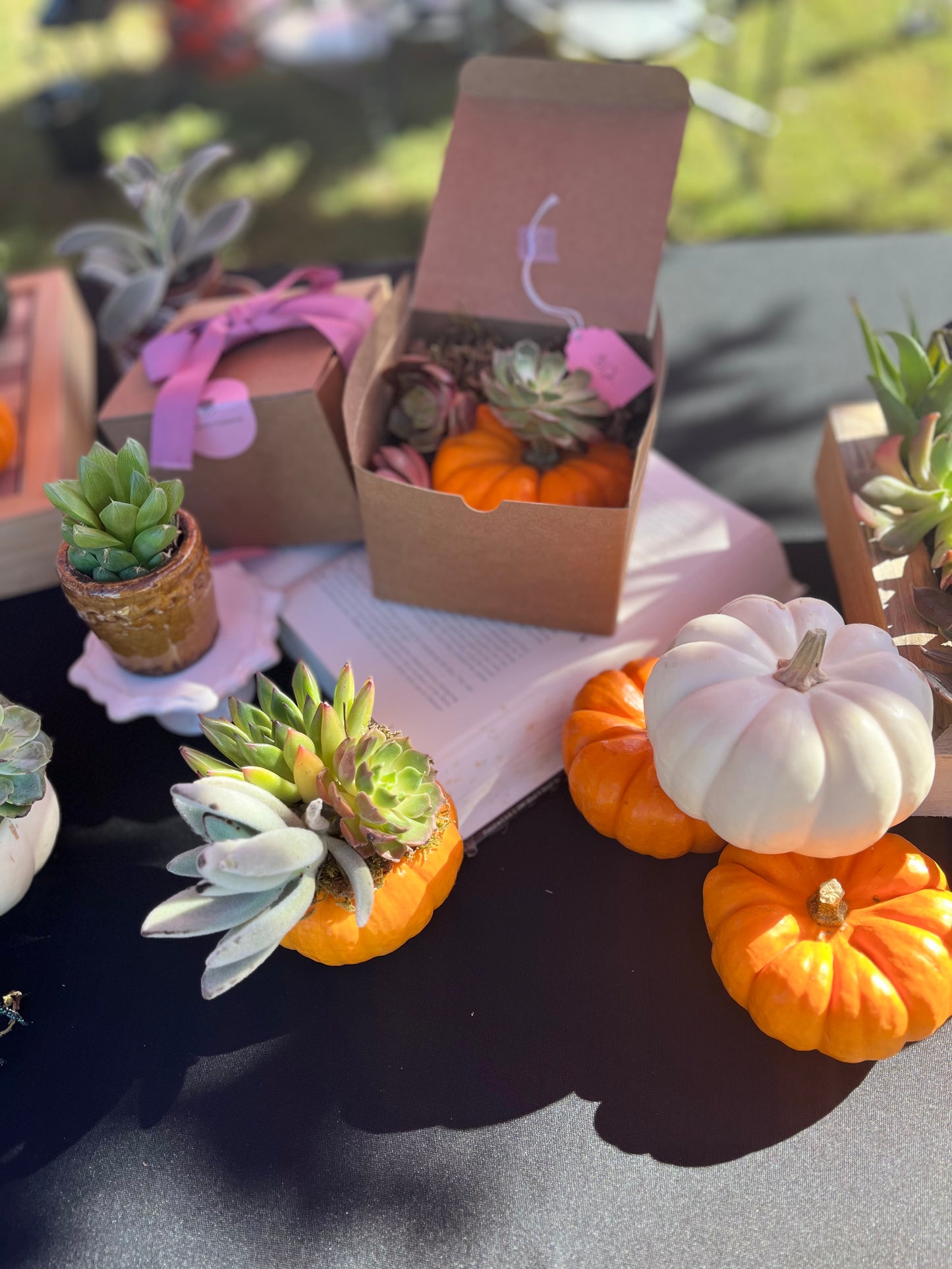 Succulent pumpkins